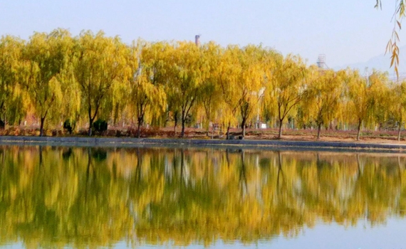 張掖：深秋潤泉湖景色美