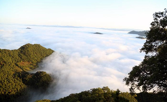 五月的隴南兩當(dāng)皇鳳山美景如畫